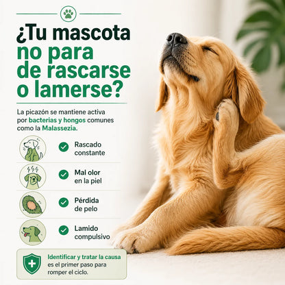 Tratamiento Antibacterial y Antifúngico para la Piel de Mascotas