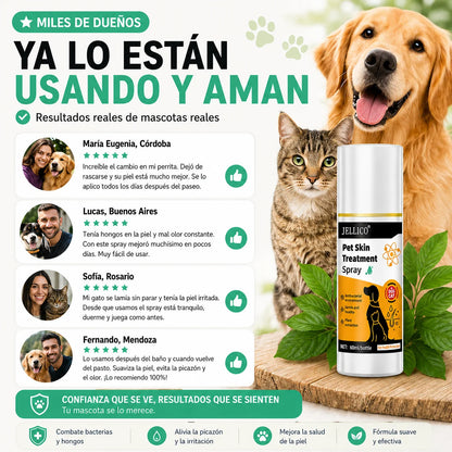 Tratamiento Antibacterial y Antifúngico para la Piel de Mascotas